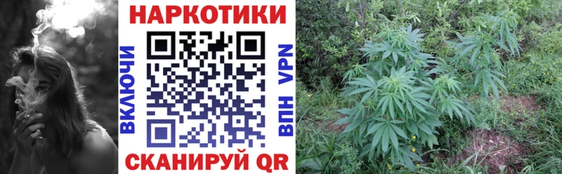 Где купить наркоту Шатура АМФЕТАМИН  Конопля  Codein  Гашиш  КОКАИН  Alpha-PVP  Меф мяу мяу 