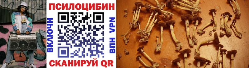 Псилоцибиновые грибы Cubensis  mega как войти  Шатура 